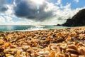 St. BarthÃ¢â¬â¢s Island St. BartÃ¢â¬â¢s Island, Caribbean Close-up photo shells on the Shell Beach in Gustavia, French West Indies,